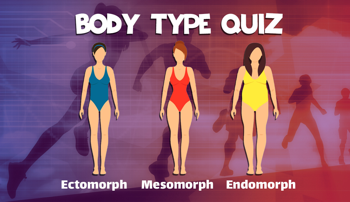 body types ectomorph mesomorph endomorph