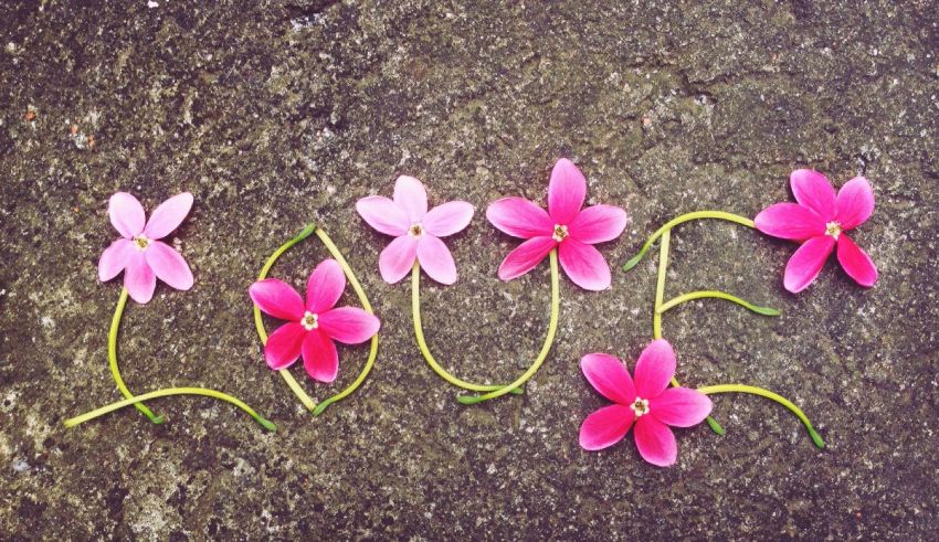 The word love spelled out in pink flowers on a concrete surface.