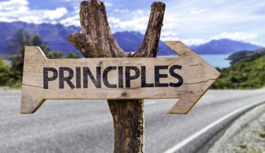 A wooden sign with the word principles on it next to a road.