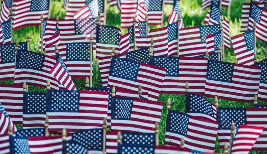 A group of american flags in a grassy field.