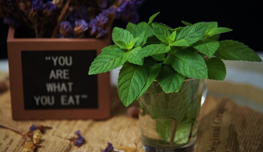 You are what you eat.