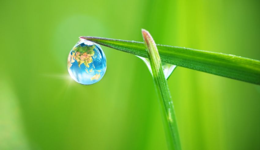 A drop of water on a blade of grass.