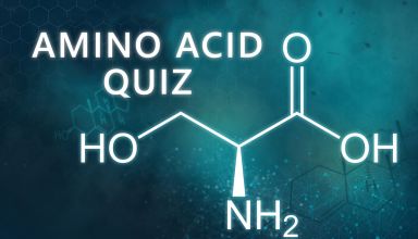 Amino Acid Quiz