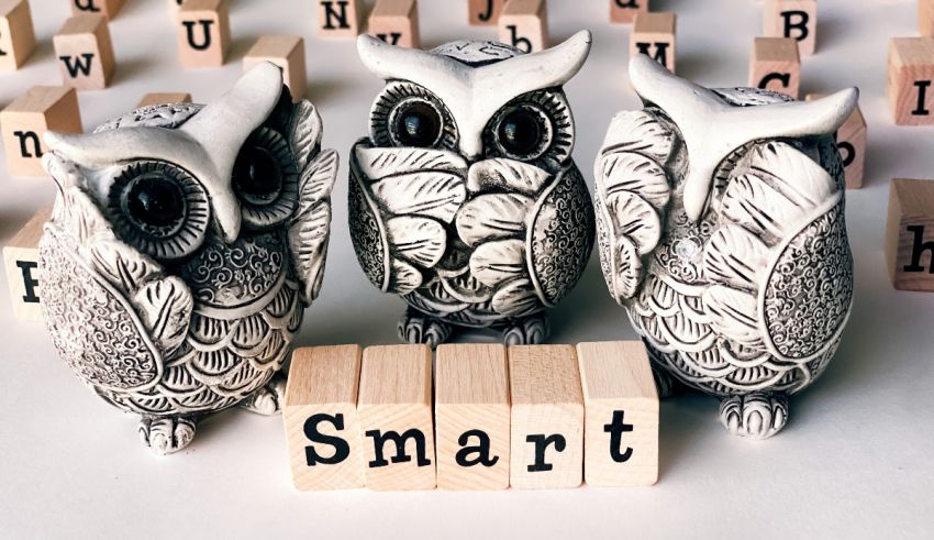 Three owls standing next to the word smart.