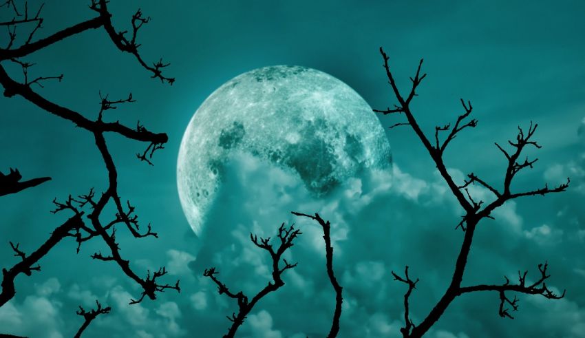 The moon is seen through the branches of trees.