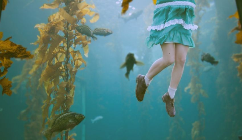 A girl is floating in a kelp forest.