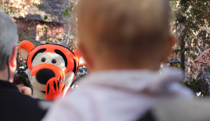 A baby is looking at a tiger mascot.