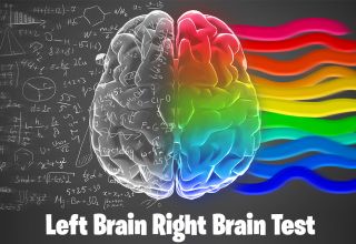 Left Brain Right Brain Test