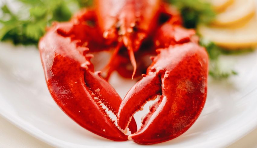A lobster on a white plate with lemon wedges.
