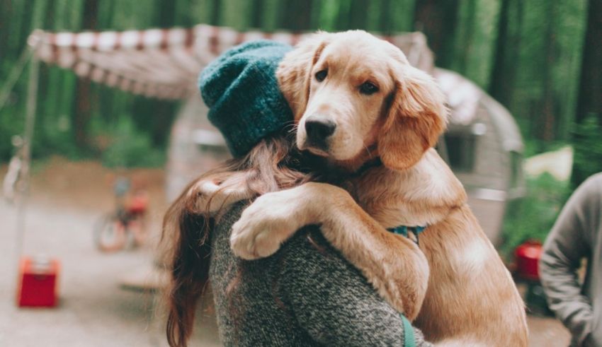 A woman is hugging a dog in the woods.