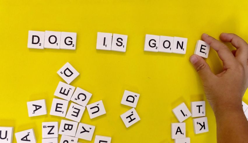 Dog is gone word scrabble.