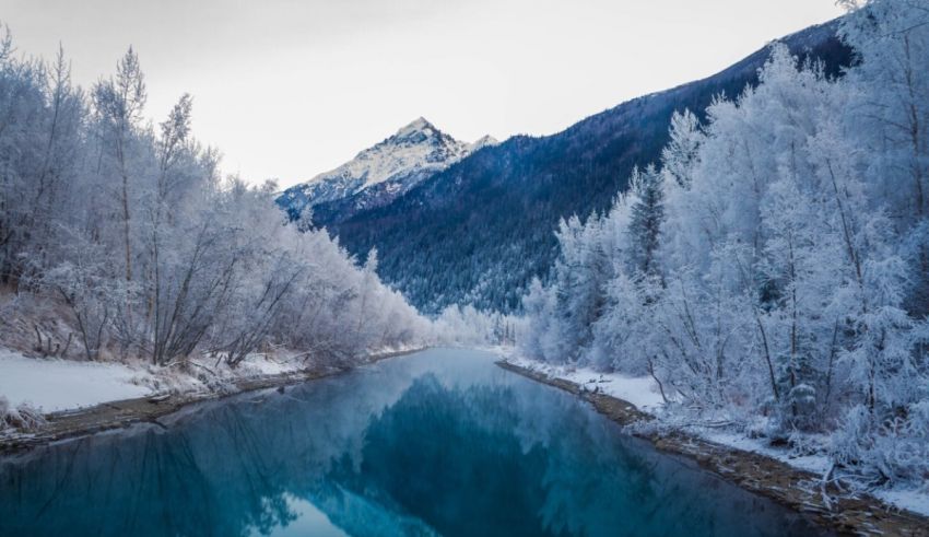 A river surrounded by snow covered trees and mountains.