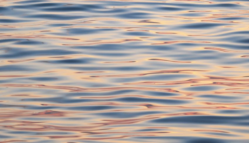 A close up of a water surface at sunset.
