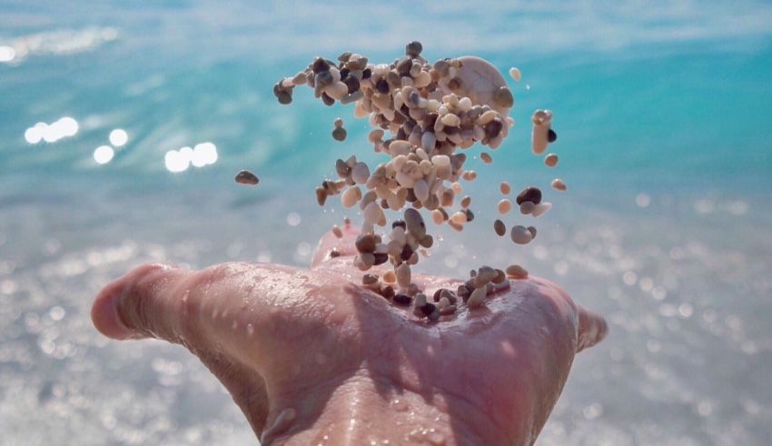 A person's hand is holding a handful of shells on the beach.