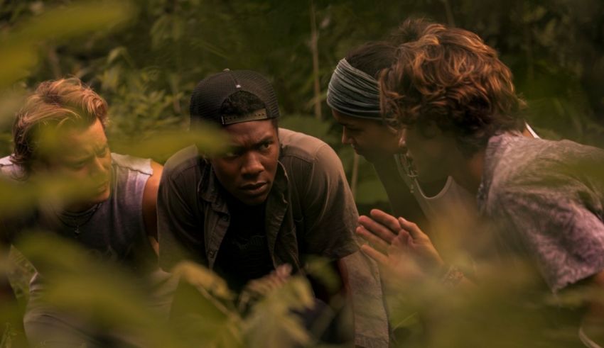 A group of people in the woods looking at each other.