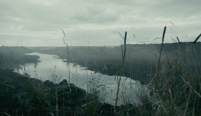 A river with tall grass and a cloudy sky.