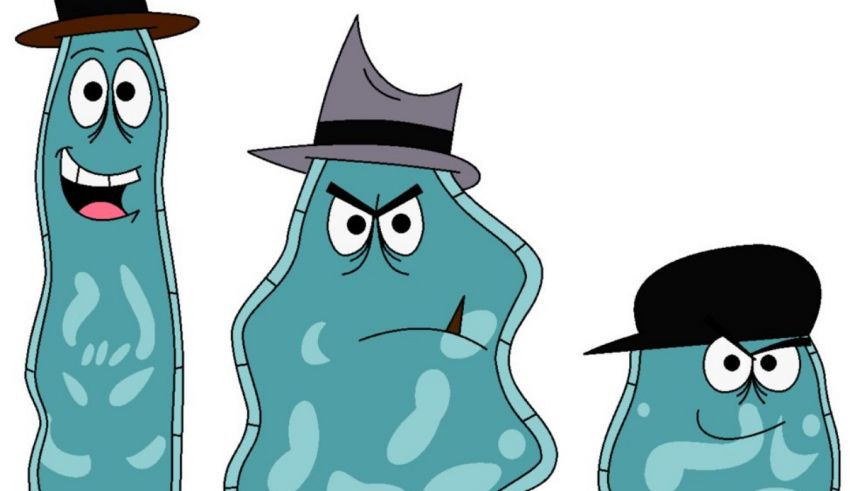 Three cartoon characters wearing hats and hats.