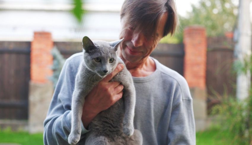 A man is holding a gray cat in his arms.