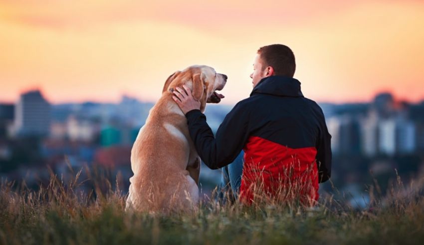 A man is sitting on a hill with his dog.