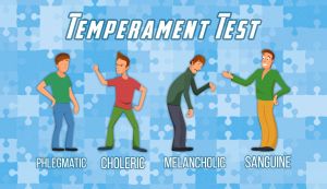 Temperament Test. 99% Accurate Match to 1 of 4 Temperaments