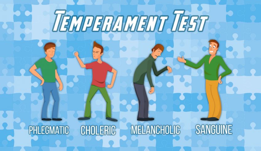 Temperament Test