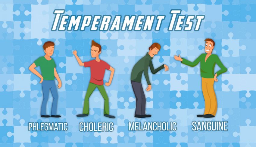 Personality what is phlegmatic The Four