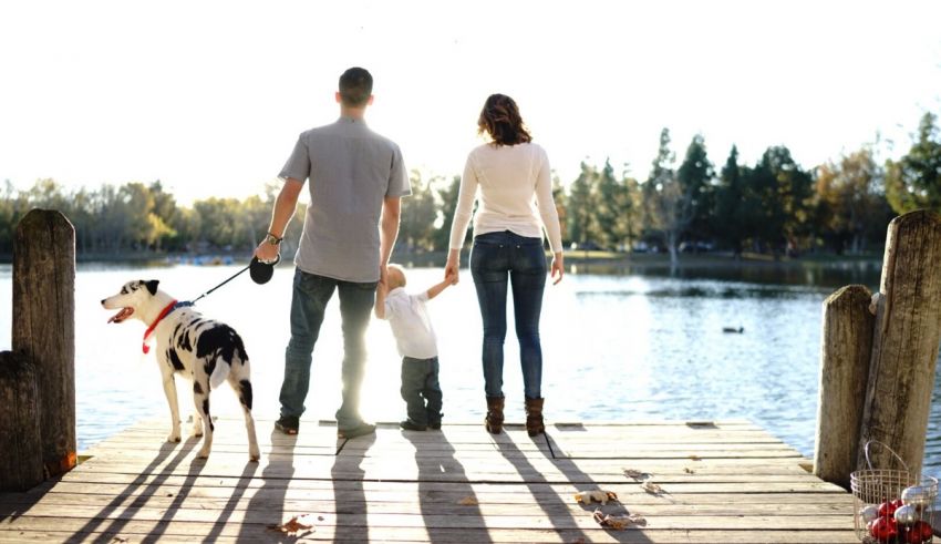A family with a dog standing on a dock near a lake.