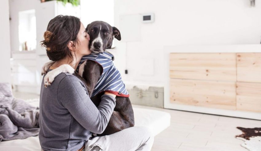 A woman is hugging her dog in a living room.