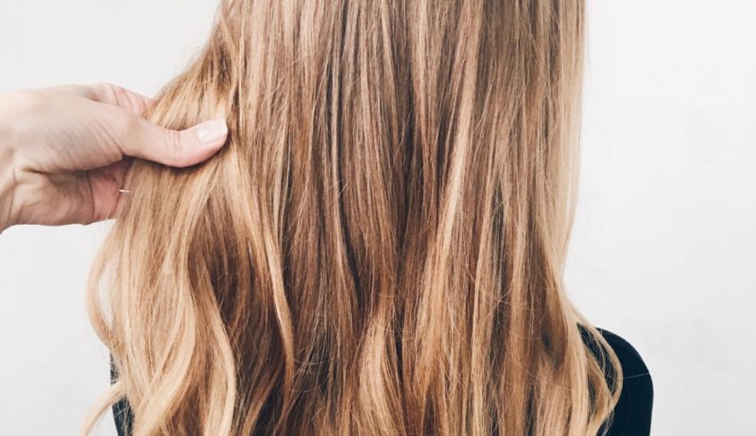 A woman's hair with long, wavy hair.