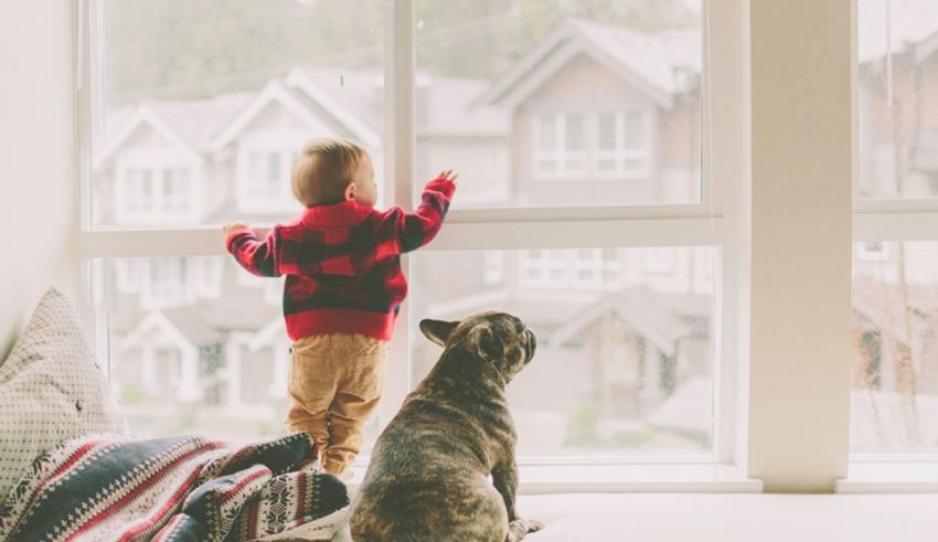 A young boy looking out a window with a dog.