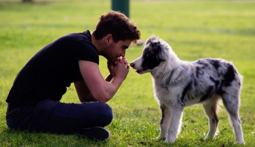 A man petting a dog in a park.