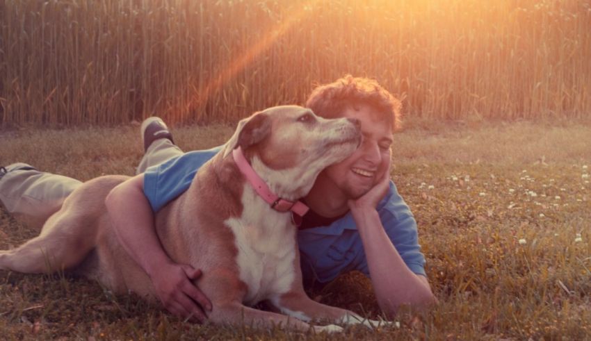 A man laying on the grass with a dog.