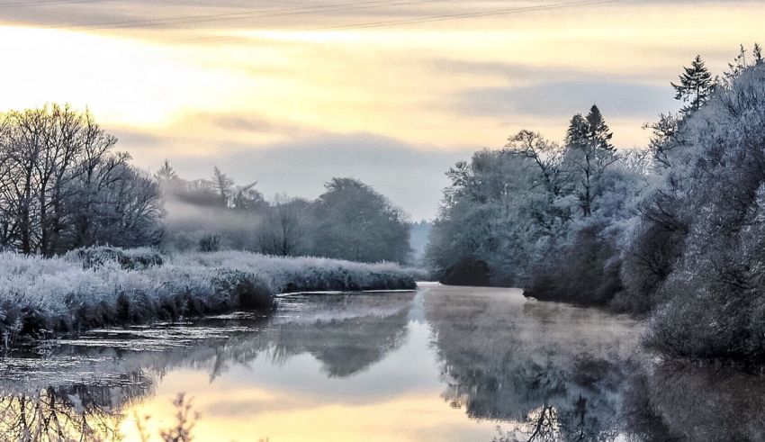 A river is covered in frost and trees.
