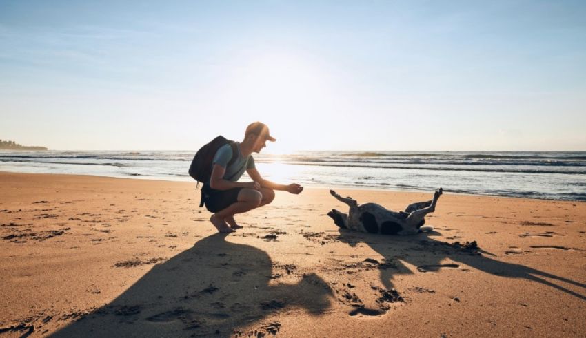 A man is sitting on the beach with his dog.