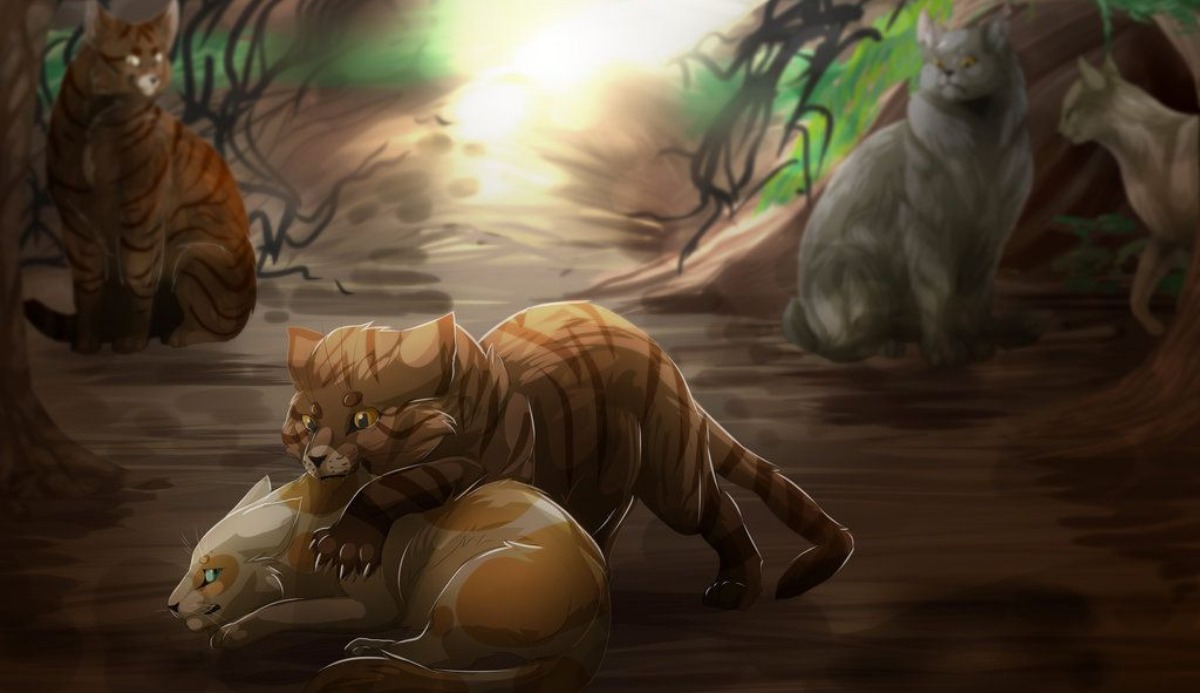 Warrior Cats Quiz: Which 1 of 10 Cats Is Same as You? 9