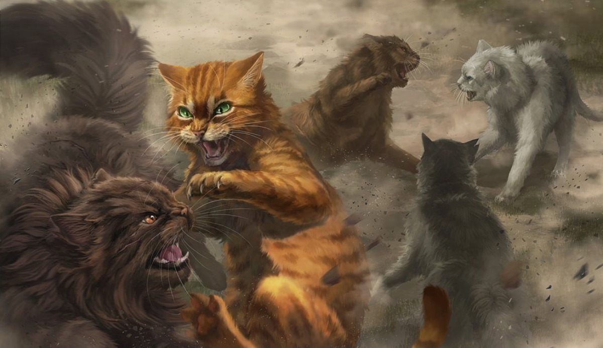 Warrior Cats Quiz: Which 1 of 10 Cats Is Same as You?