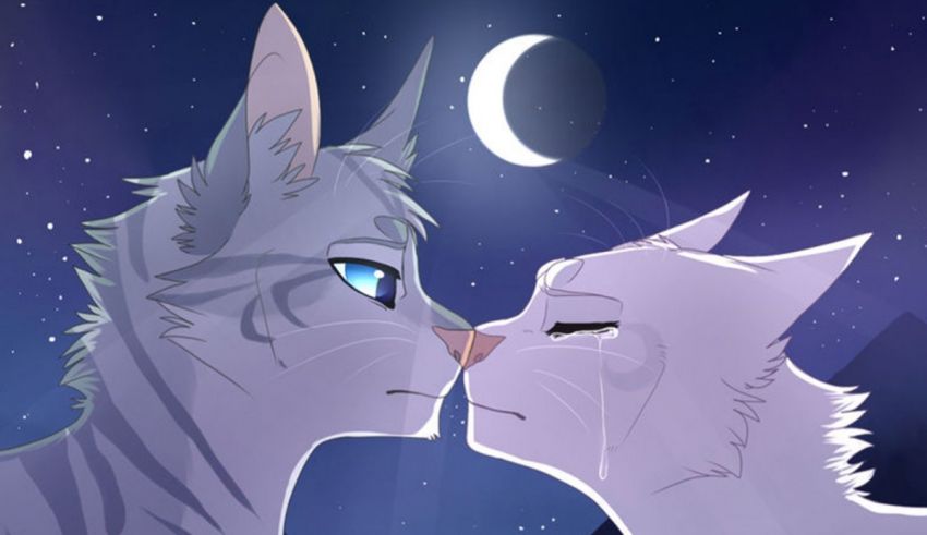 Two cats kissing in the night sky.