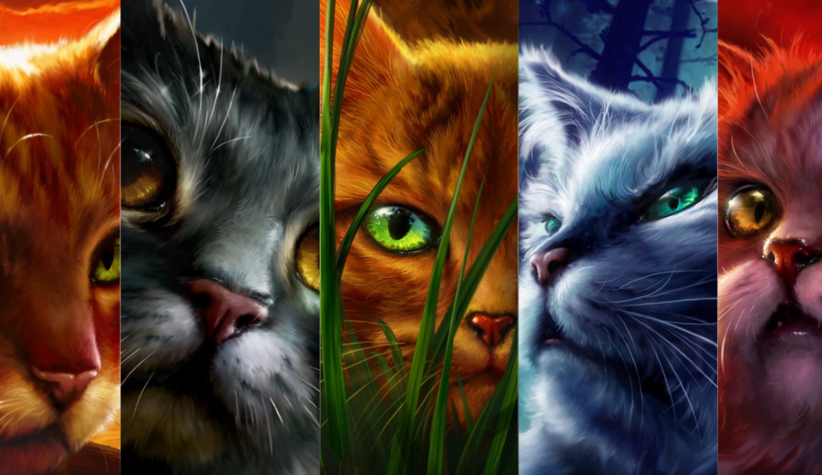 Warrior Cats Quiz: Which 1 of 10 Cats Is Same as You? 13