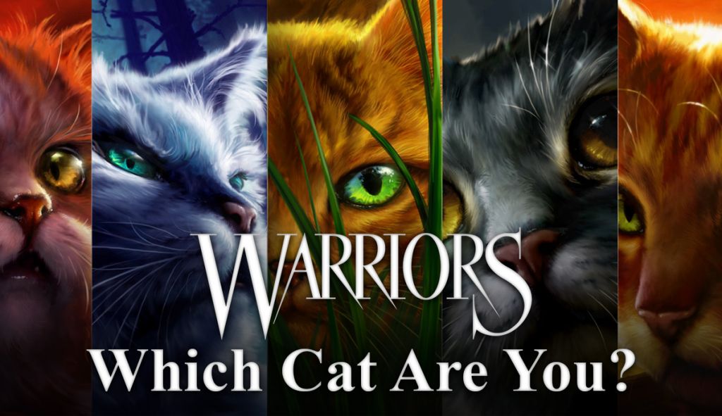 WARRIOR CATS Photo: Warriors Pictures