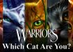 Warrior Cats Quiz