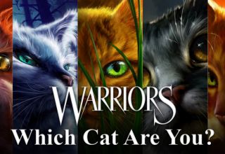 Warrior Cats Quiz