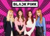 Which BLACKPINK member are you