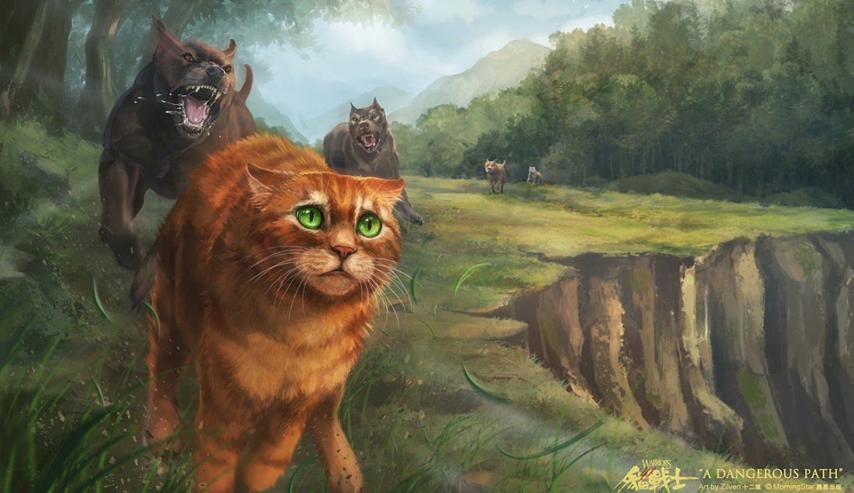 Warrior Cats Quiz: Which 1 of 10 Cats Is Same as You?