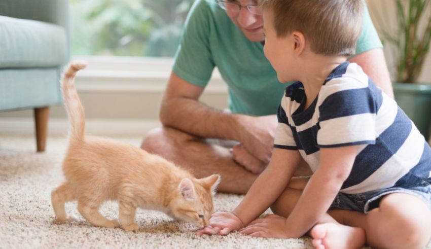 A man and a child playing with a cat on the floor.