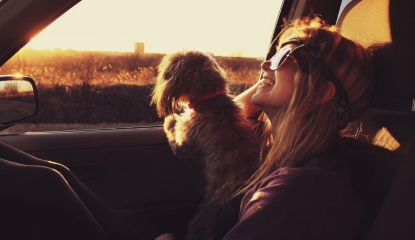 A woman sitting in a car with her dog.