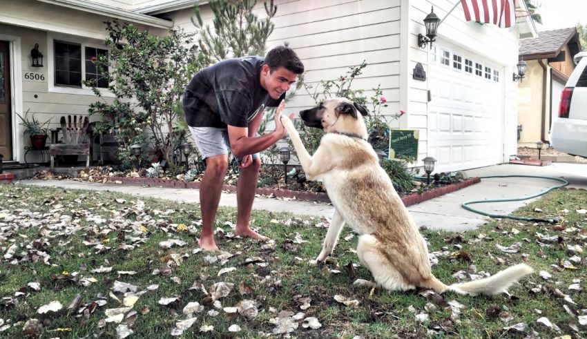 A man playing with a dog in front of a house.