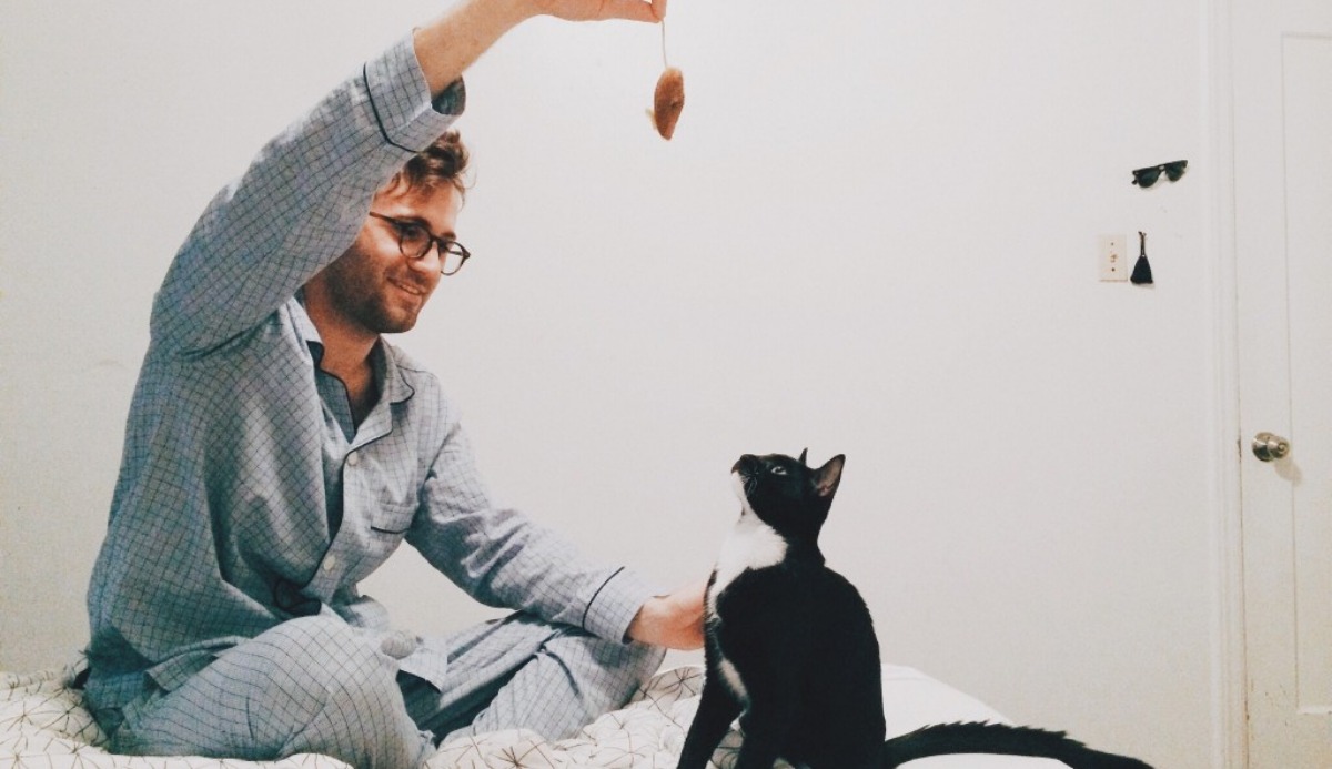 Does My Cat Love Me? Find Out with This 100% Accurate Quiz 15