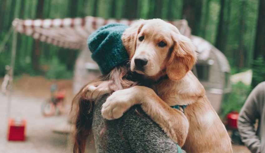 A woman hugging a dog in the woods.