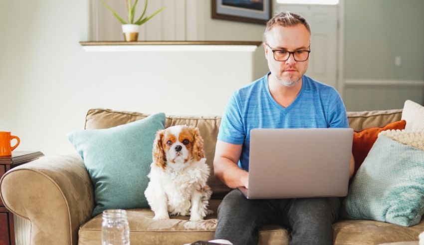 A man sitting on a couch with a dog using a laptop.