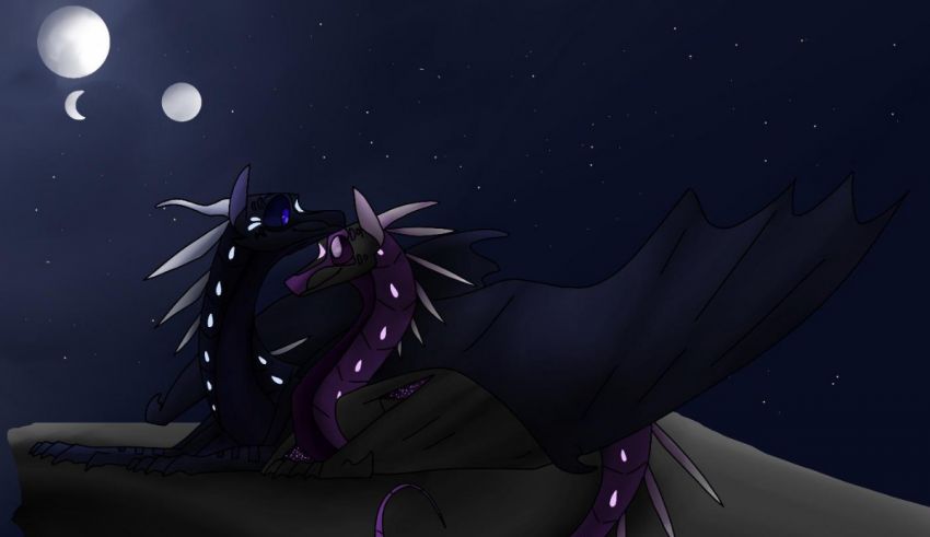 A black dragon and a purple dragon in the night sky.